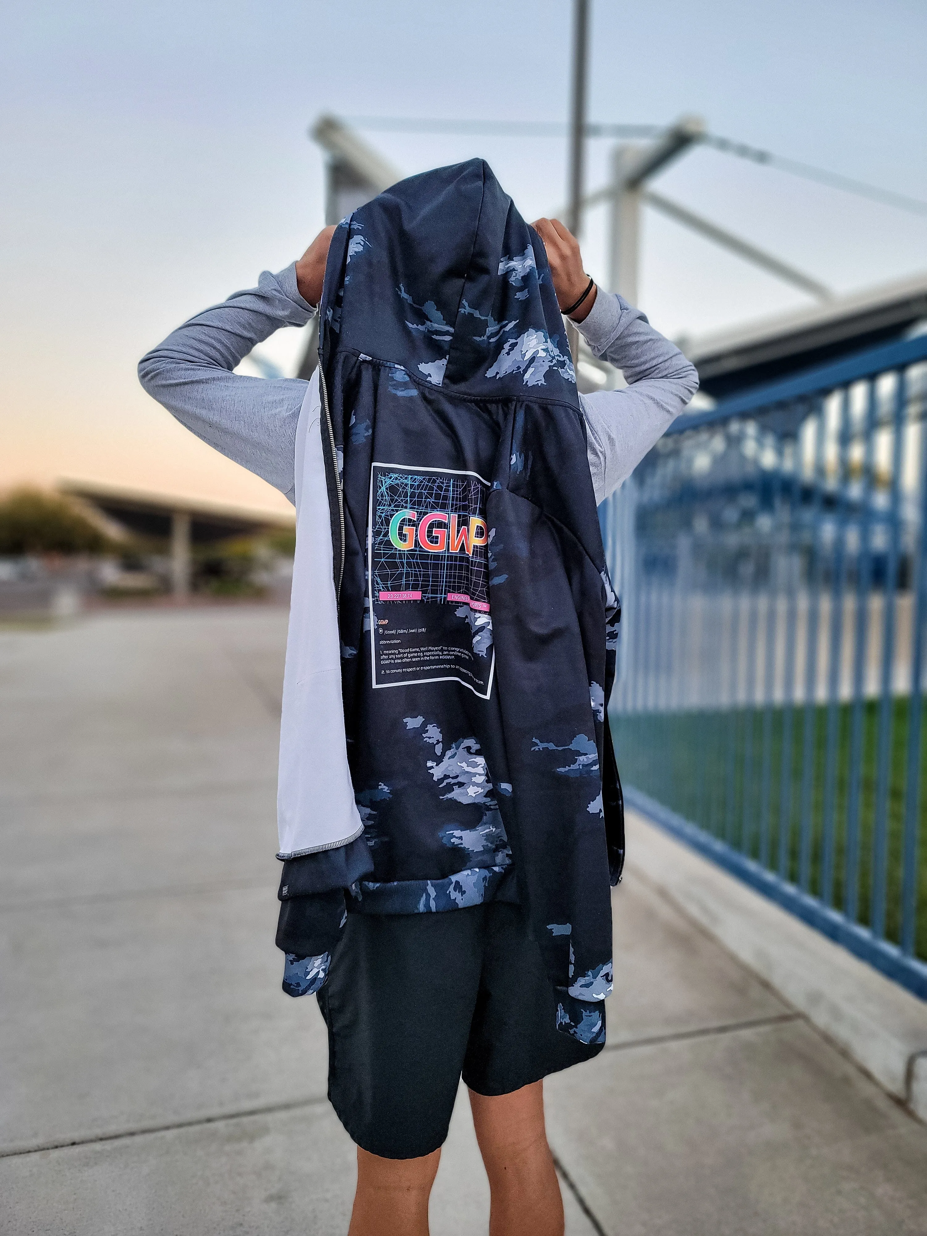 GGWP Vapor Zip Hoodie