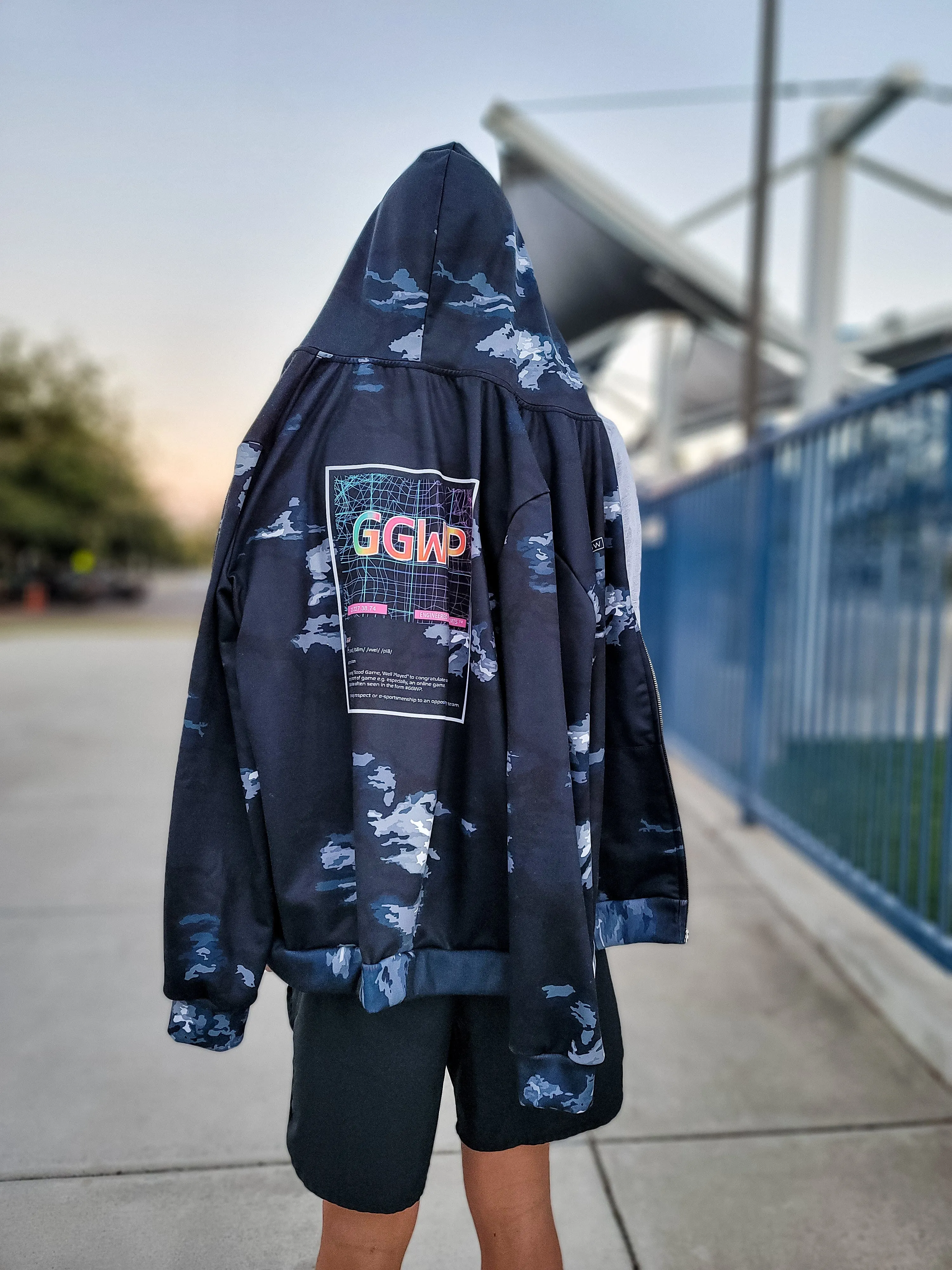 GGWP Vapor Zip Hoodie