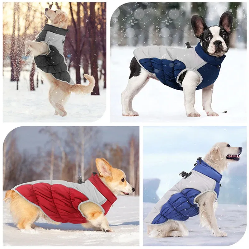 WeatherGuard Big Dog Jacket