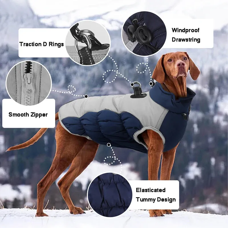 WeatherGuard Big Dog Jacket